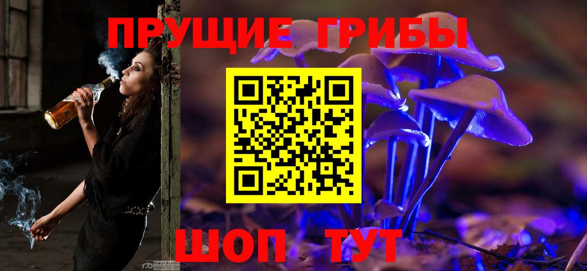 Псилоцибиновые грибы Cubensis  Галлюциногенные грибы ЛСД  Вход с VPN  Кудрово 