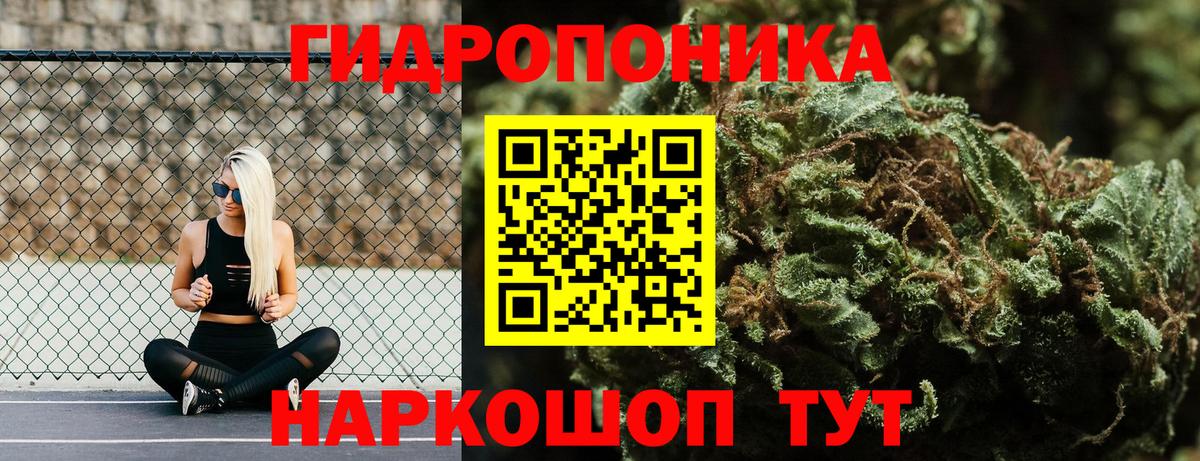 APVP Кудрово